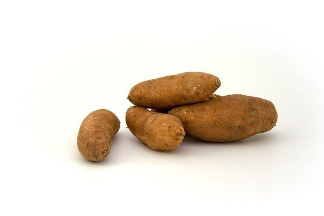 Sweet potato